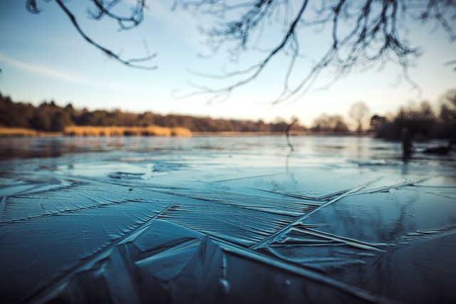 An image capturing the serene beauty of Beck Lake, Chicago, during winter