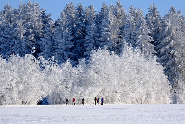 An image capturing a whimsical winter wonderland: a snow-covered park adorned with twinkling lights, reflecting their warm glow onto ice-skating families, as a towering, sparkling tree stands tall in the background