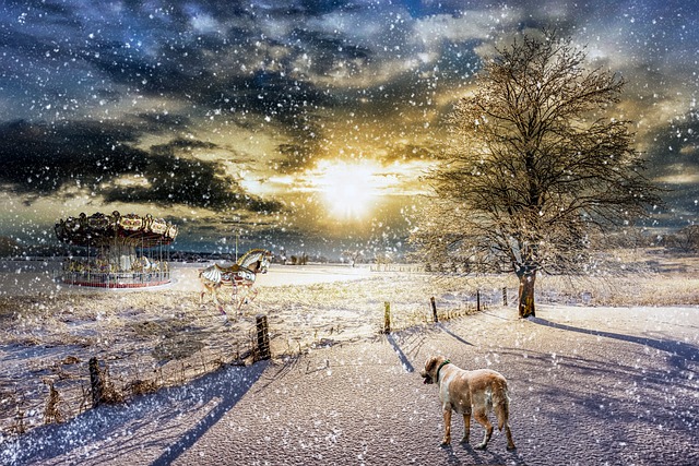 An image capturing the enchantment of local winter festivals, featuring a snow-covered park illuminated by a dazzling display of twinkling lights