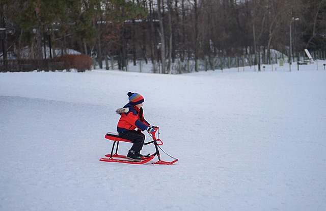 An image showcasing Park #5, a hidden gem for sledding and snow activities
