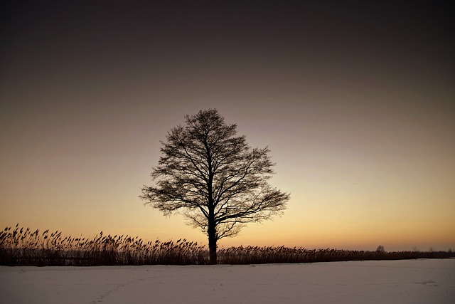 An image capturing the serene ambiance of a winter mindfulness workshop